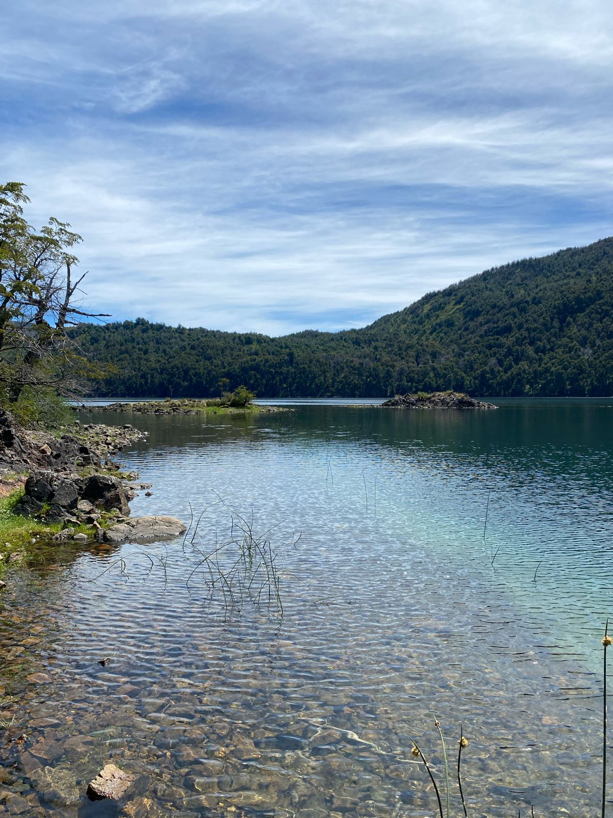 Lago Falkner — bahías y juncales